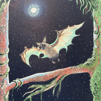 "Vesperlilio Night" by Cameron Perkins