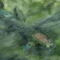 "Rainbow Trout" by Craig Masten