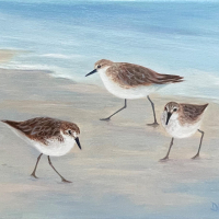 Didem Kokturk, "Sandpiper Beach"