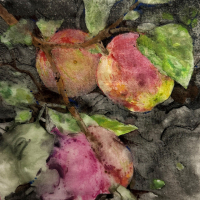 "Apples" by Lorraine Bromley