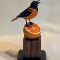 "Baltimore Oriole" by Mark Knapp