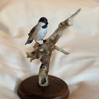 "Chicadee" by Mark Knapp