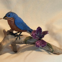 Mark Knapp, "Eastern Bluebird"