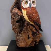 "Elf Owl" by Mark Knapp, SBG Member