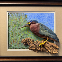 "Green Heron" by Mark Knapp