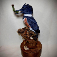 "Kingfisher" by Mark Knapp
