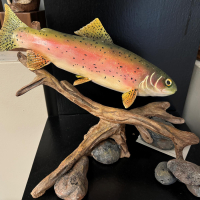 "Rainbow Trout" by Mark Knapp