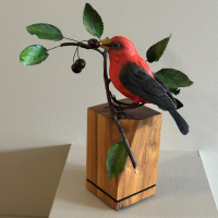 HONORABLE MENTION, "Scarlet Tanager" by Mark Knapp