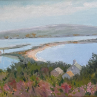 "Visitors' View" by Meg Arpin
